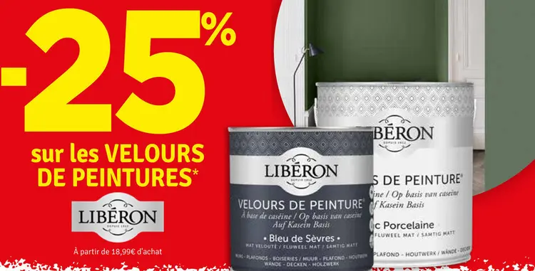 Offre: Velours de peinture
