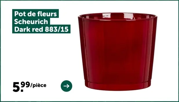 Offre: Pot de fleurs