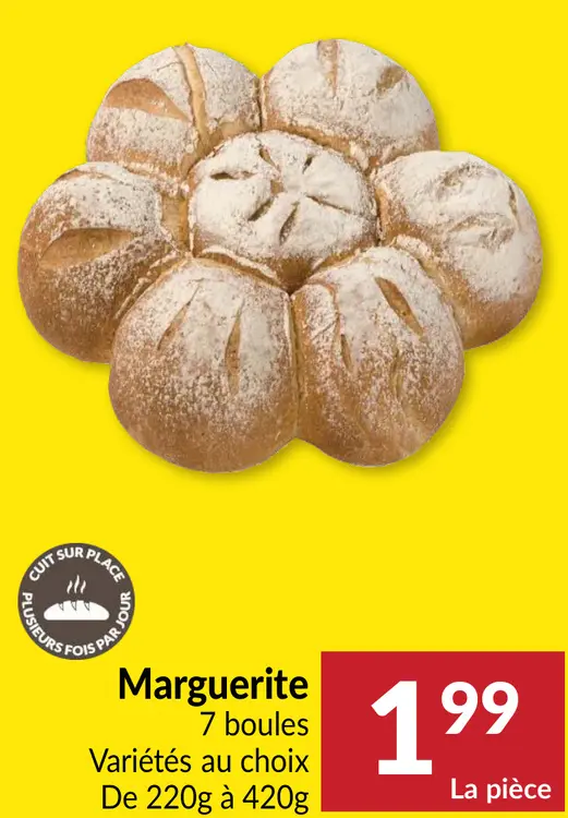 Offre: Marguerite