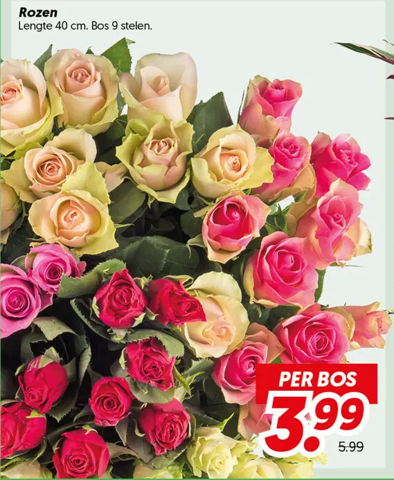 Rozen