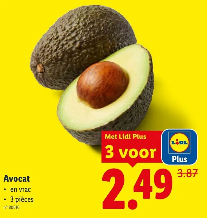 Offre: Avocat
