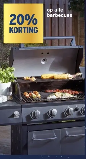Aanbieding: Barbecues