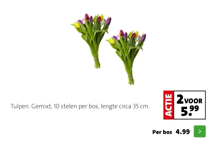 Promotie: Tulpen