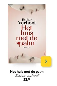 Aanbieding: Het huis met de palm