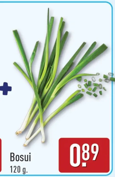 Aanbieding: Bosui