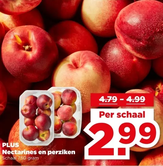 Nectarines en perziken