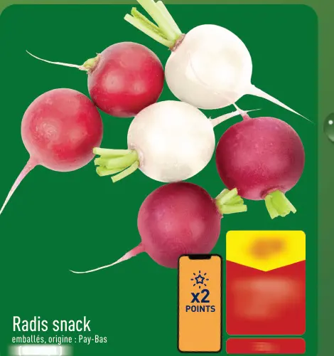 Offre: Radis snack