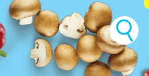 Offre: Champignons blonds