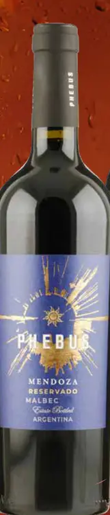 Aanbieding: Phebus Reservado Malbec Mendoza