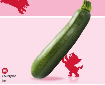 Aanbieding: Courgette Los