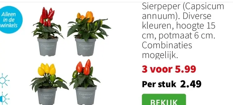 Aanbieding: Sierpeper