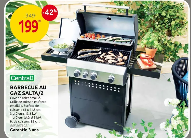 Offre: Barbecue au gaz salta/2