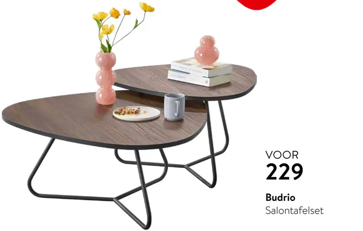 Aanbieding: Salontafelset Bud