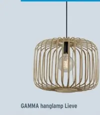Promotie: GAMMA hanglamp Lieve