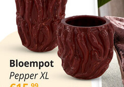 Aanbieding: Bloempot Pepper