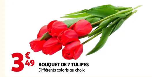Offre: Bouquet de 7 tulipes