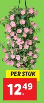 Aanbieding: Wandhanger met bloemen