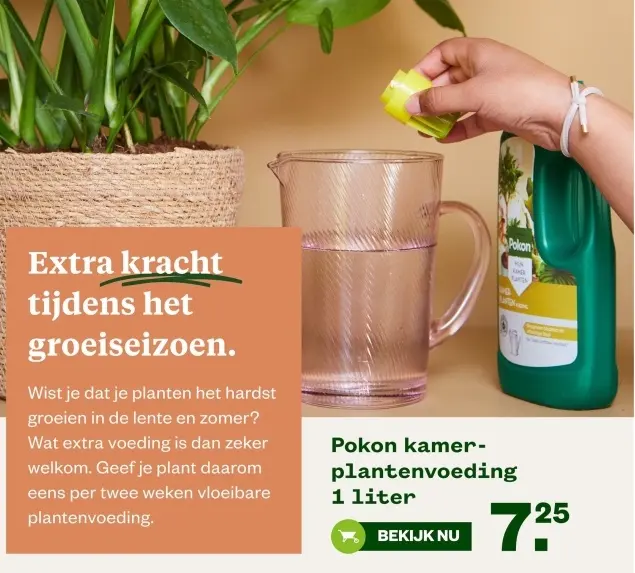 Aanbieding: Kamerplantenvoeding