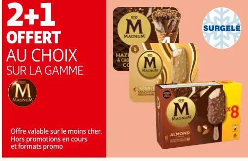 Offre: Magnum Ice Cream
