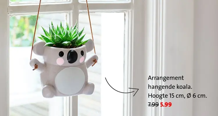 Aanbieding: Arrangement hangende koala