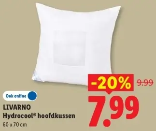 Aanbieding: Hydrocool® hoofdkussen