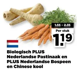 Aanbieding: Pastinaak, Bospeen en Chinese kool