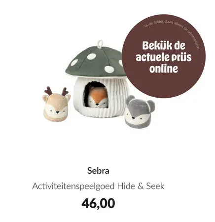 Aanbieding: Activiteitenspeelgoed Hide & Seek