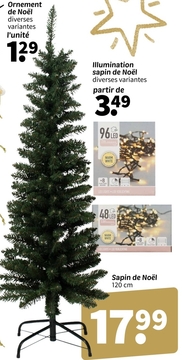 Offre: Sapin de Noël