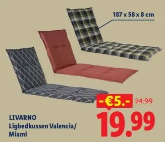 Aanbieding: Ligbedkussen Valencia/ Miami