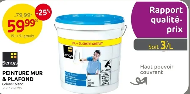 Offre: Peinture mur & plafond