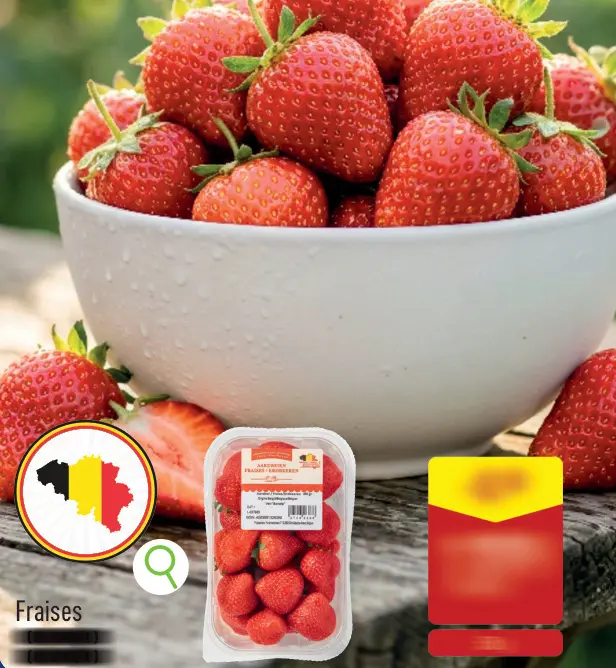 Offre: Fraises