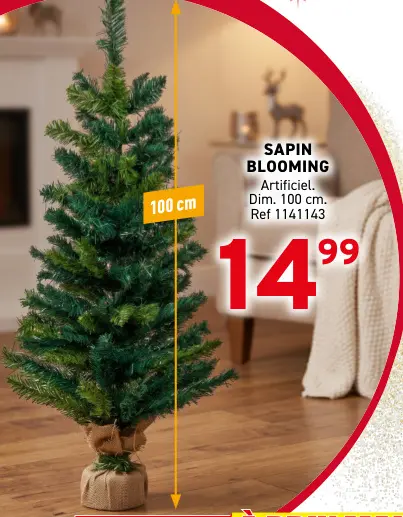 Offre: Sapin Blooming