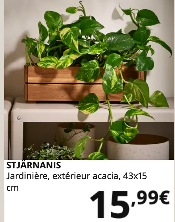 Offre: Stjärnanis