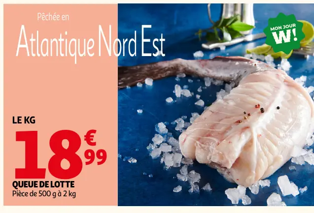 Promotie: Queue de lotte