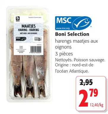 Offre: Harengs maatjes aux oignons