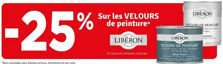 Offre: Libéron Velours de peinture