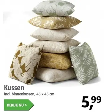 Aanbieding: Kussen 45 x 45 cm