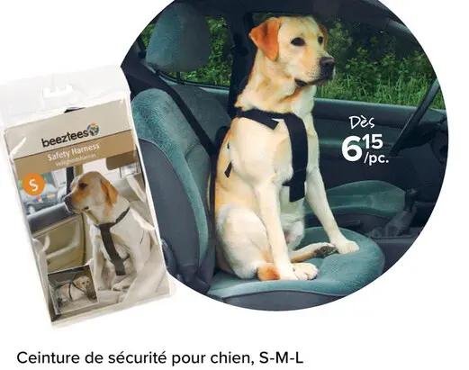 Offre: Ceinture de sécurité pour chien