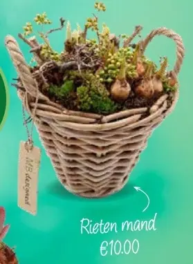 Aanbieding: Rieten mand