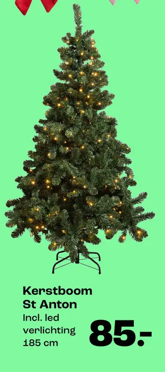 Aanbieding: Kerstboom St Anton