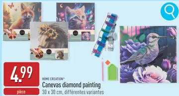 Offre: Canevas diamond painting
