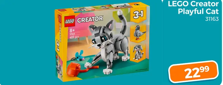 Aanbieding: Playful Cat