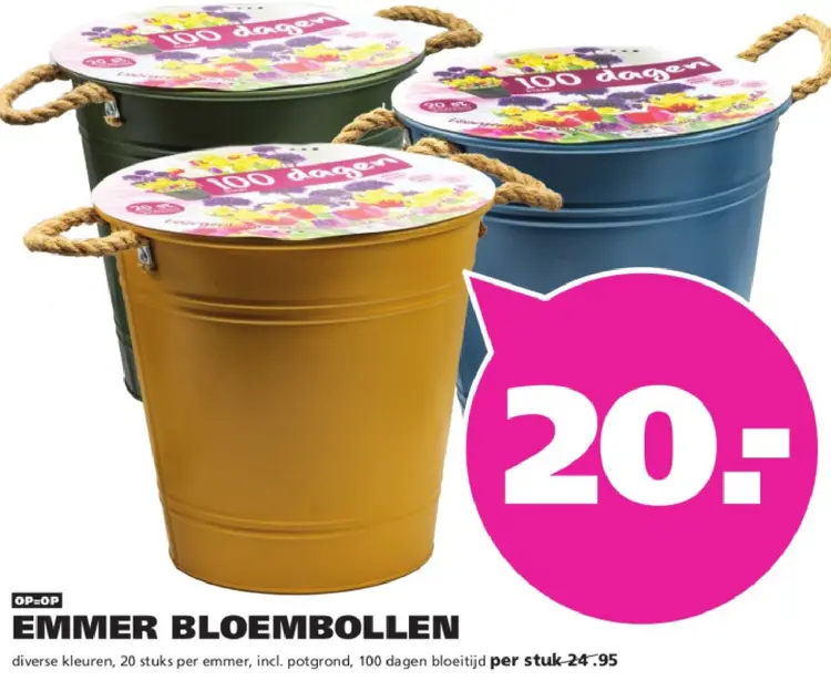 Aanbieding: Emmer Bloembollen