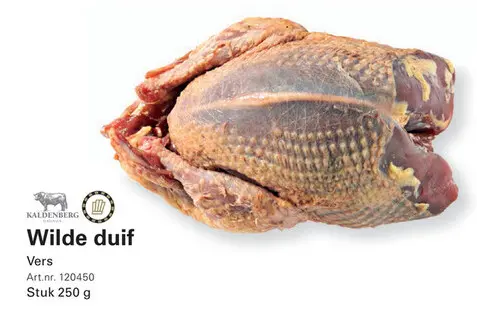 Aanbieding: Wilde duif