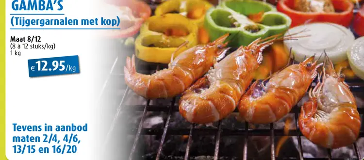 Promotie: Gamba's