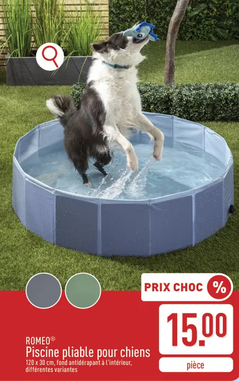 Offre: Piscine pliable pour chiens