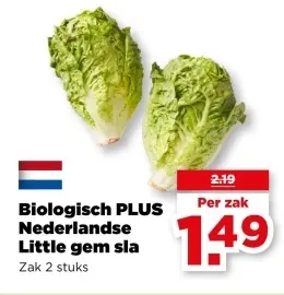 Nederlandse Little gem sla