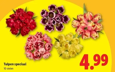 Aanbieding: Tulpen speciaal