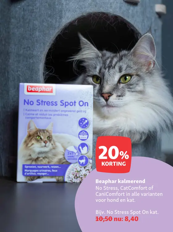 Aanbieding: No Stress Spot On kat