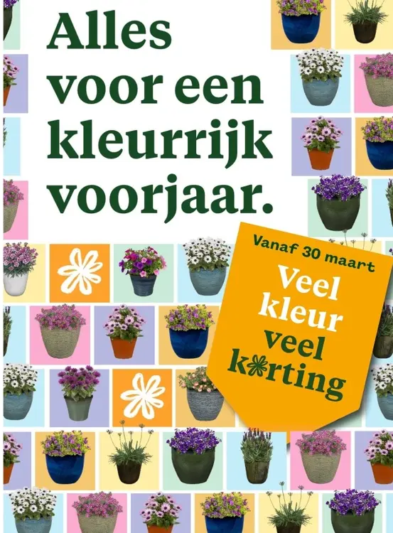 Aanbieding: Colorful Spring